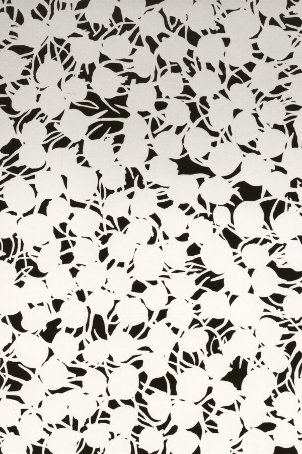 Pavel Hayek, Kedlubny